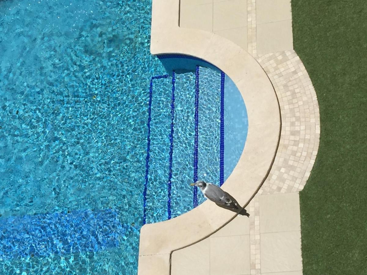 3 Min Walking To Peneco Beach Albufeira At Sol A Sul Apartments 外观 照片